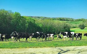 « Le Vieux Hangar » Gite A La Ferme