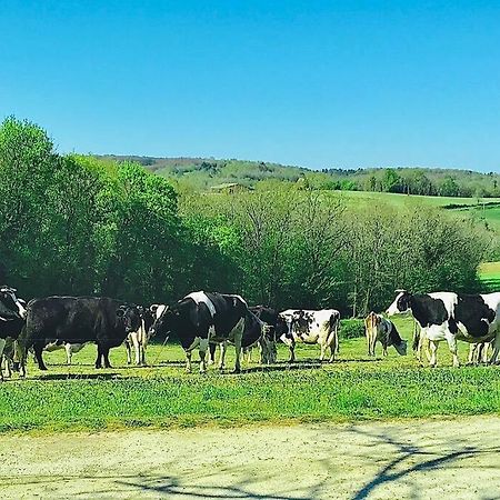 « Le Vieux Hangar » Gite A La Ferme Le Buisson-de-Cadouin Extérieur photo