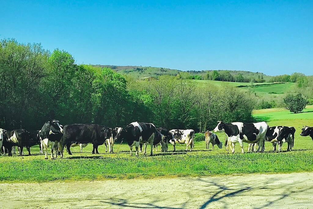 « Le Vieux Hangar » Gite A La Ferme Le Buisson-de-Cadouin Extérieur photo